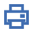 print icon